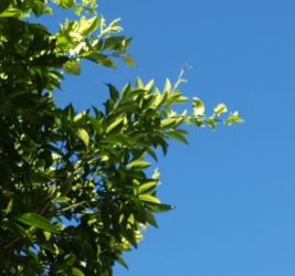 50代女性おすすめ本
